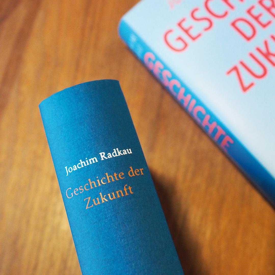 Bild: 9783446254633 | Geschichte der Zukunft | Joachim Radkau | Buch | 544 S. | Deutsch