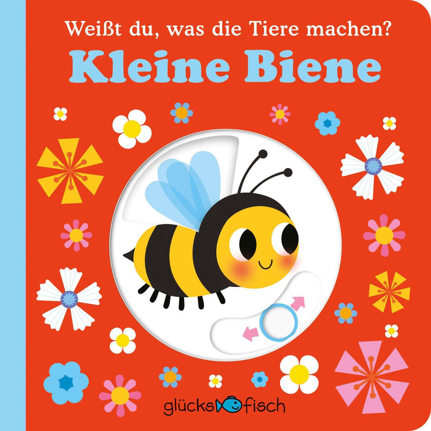 Cover: 9783737359429 | Glücksfisch: Weißt du, was die Tiere machen? Kleine Biene | Galloway