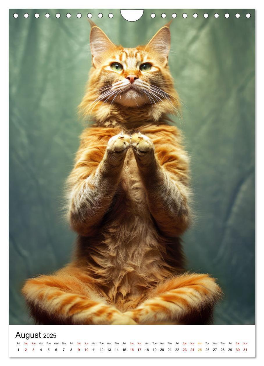 Bild: 9781325998203 | Meow Yoga (Wall Calendar 2025 DIN A4 portrait), CALVENDO 12 Month...