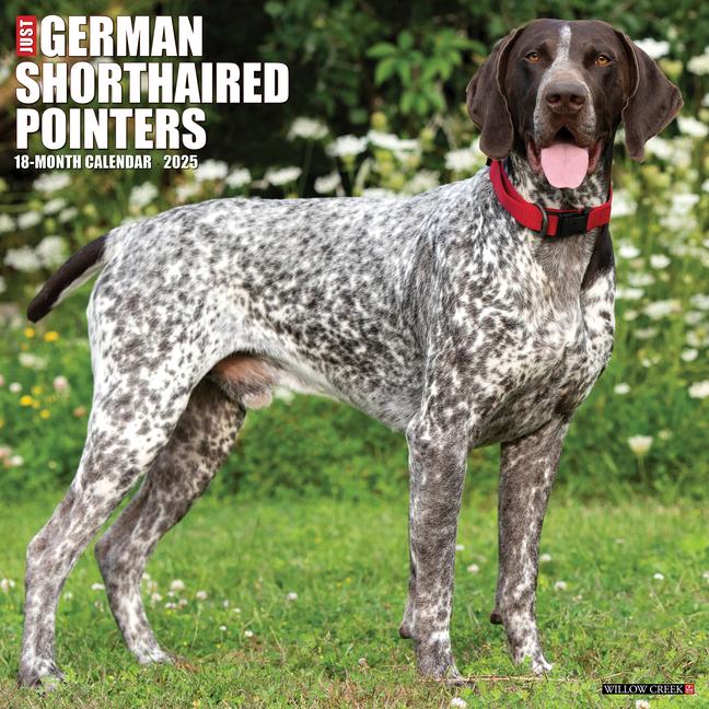 Cover: 9781549243035 | Just German Shorthaired Pointers 2025 12 X 12 Wall Calendar | Press