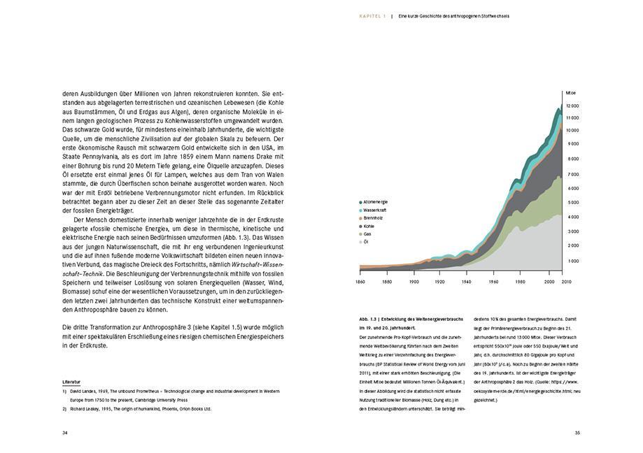 Bild: 9783258083445 | Die Domestikation der Erde | Peter Baccini | Buch | 296 S. | Deutsch