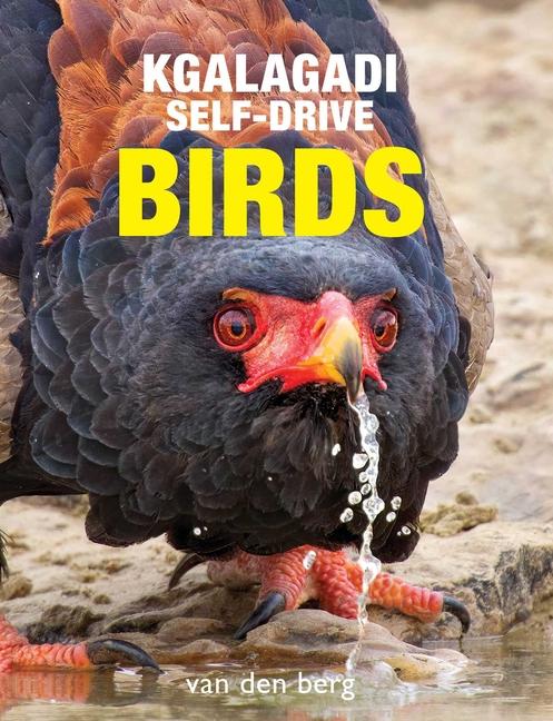 Cover: 9781776433261 | Kgalagadi Self-Drive Birds | Philip And Ingrid van den Berg | Buch