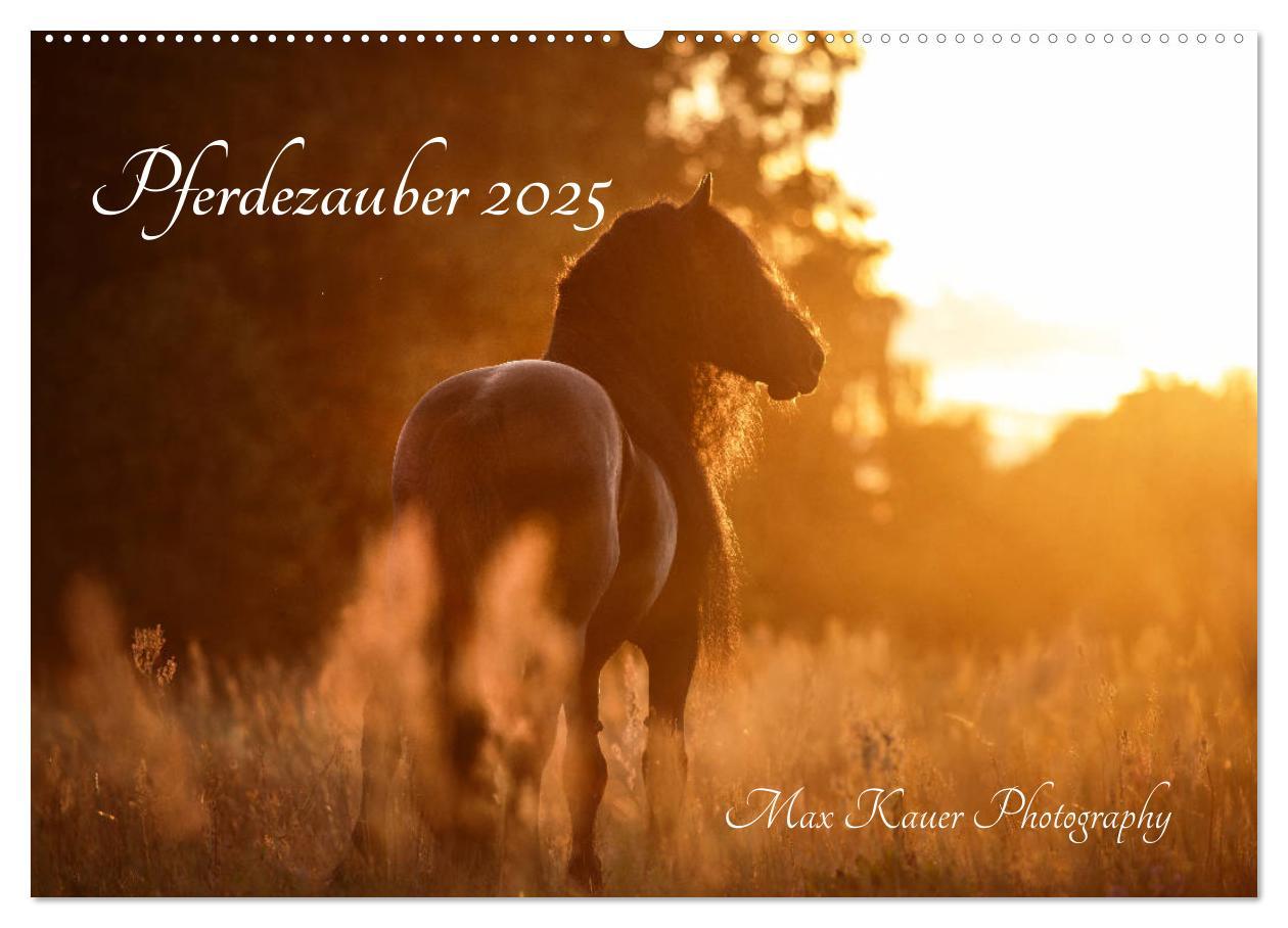 Cover: 9783435288878 | Pferdezauber 2025 (Wandkalender 2025 DIN A2 quer), CALVENDO...