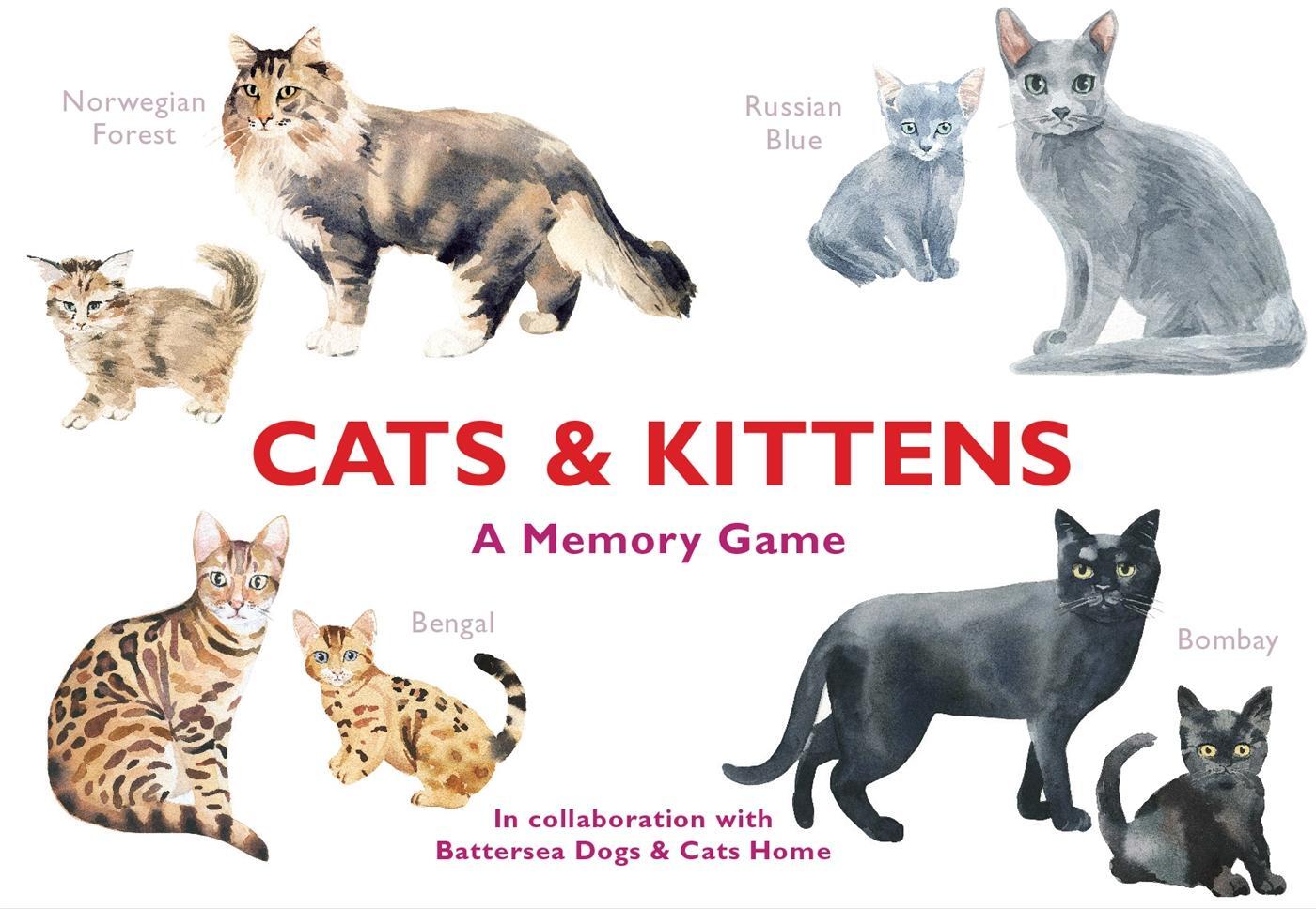 Cover: 9781786272263 | Cats &amp; Kittens | A Memory Game | Marcel George | Spiel | 50 S. | 2017