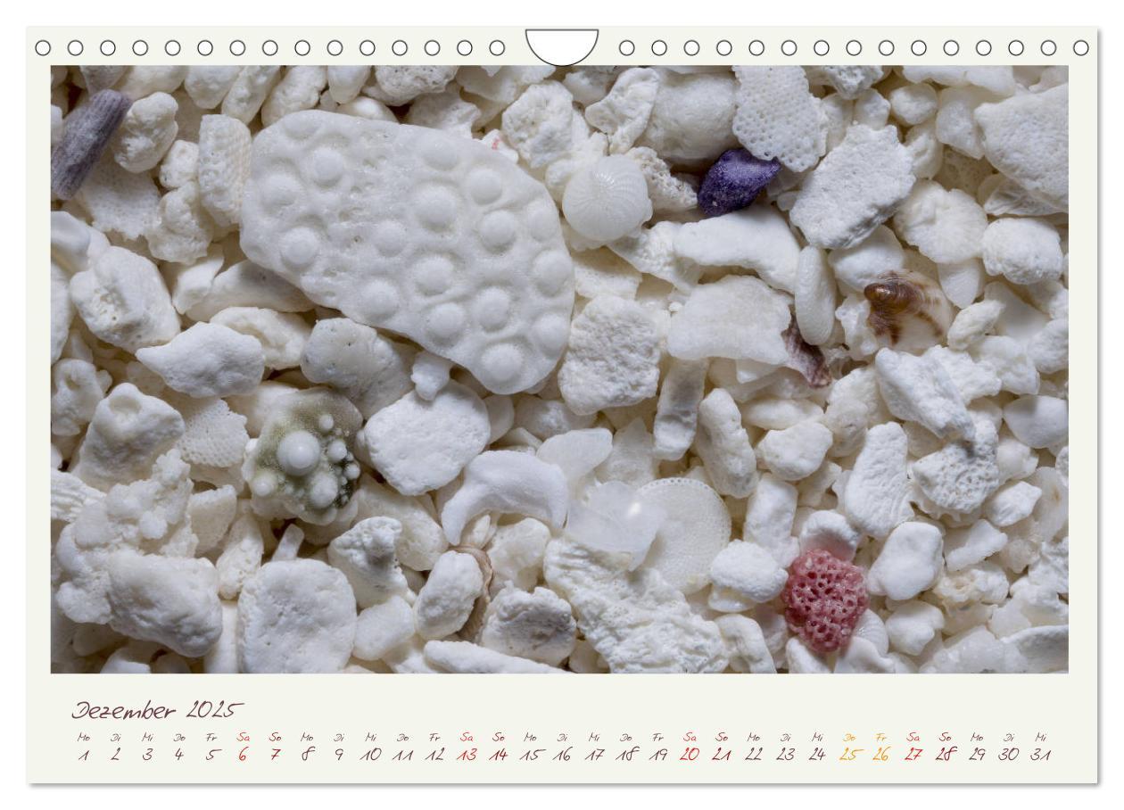 Bild: 9783435135479 | Abenteuer Mikrofotografie Sand (Wandkalender 2025 DIN A4 quer),...