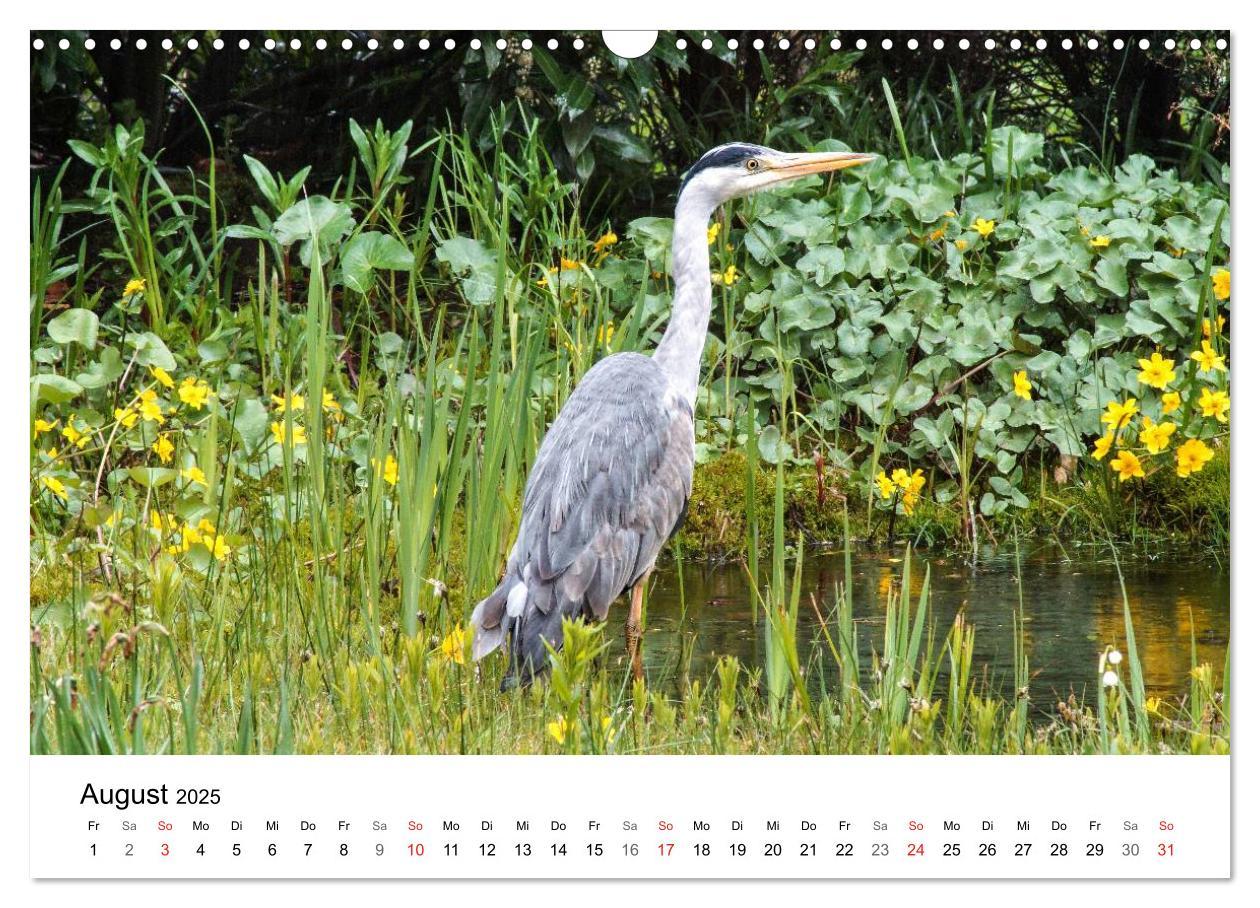 Bild: 9783435466269 | Paradies Naturgarten (Wandkalender 2025 DIN A3 quer), CALVENDO...