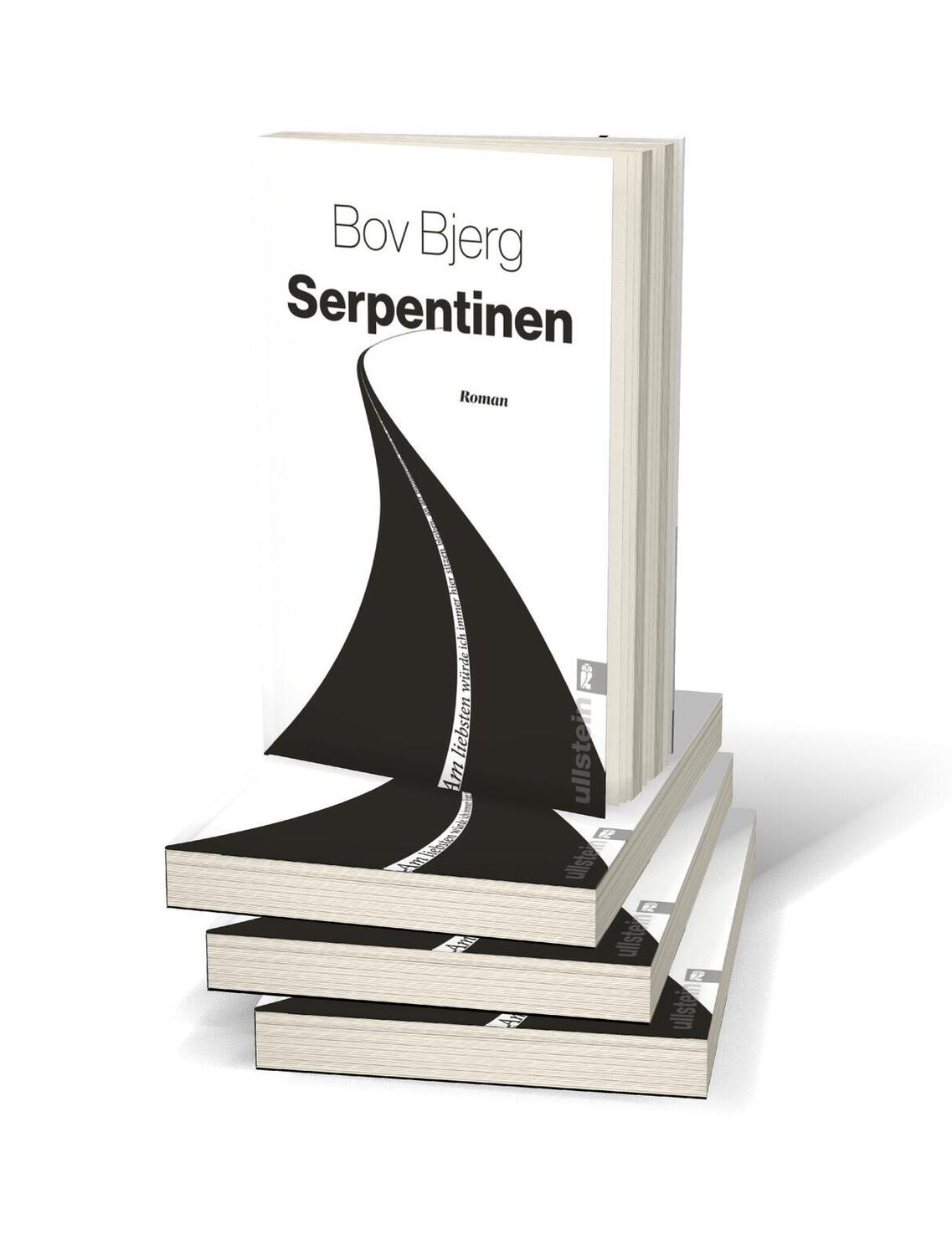 Bild: 9783548064758 | Serpentinen | Roman | Bov Bjerg | Taschenbuch | 272 S. | Deutsch