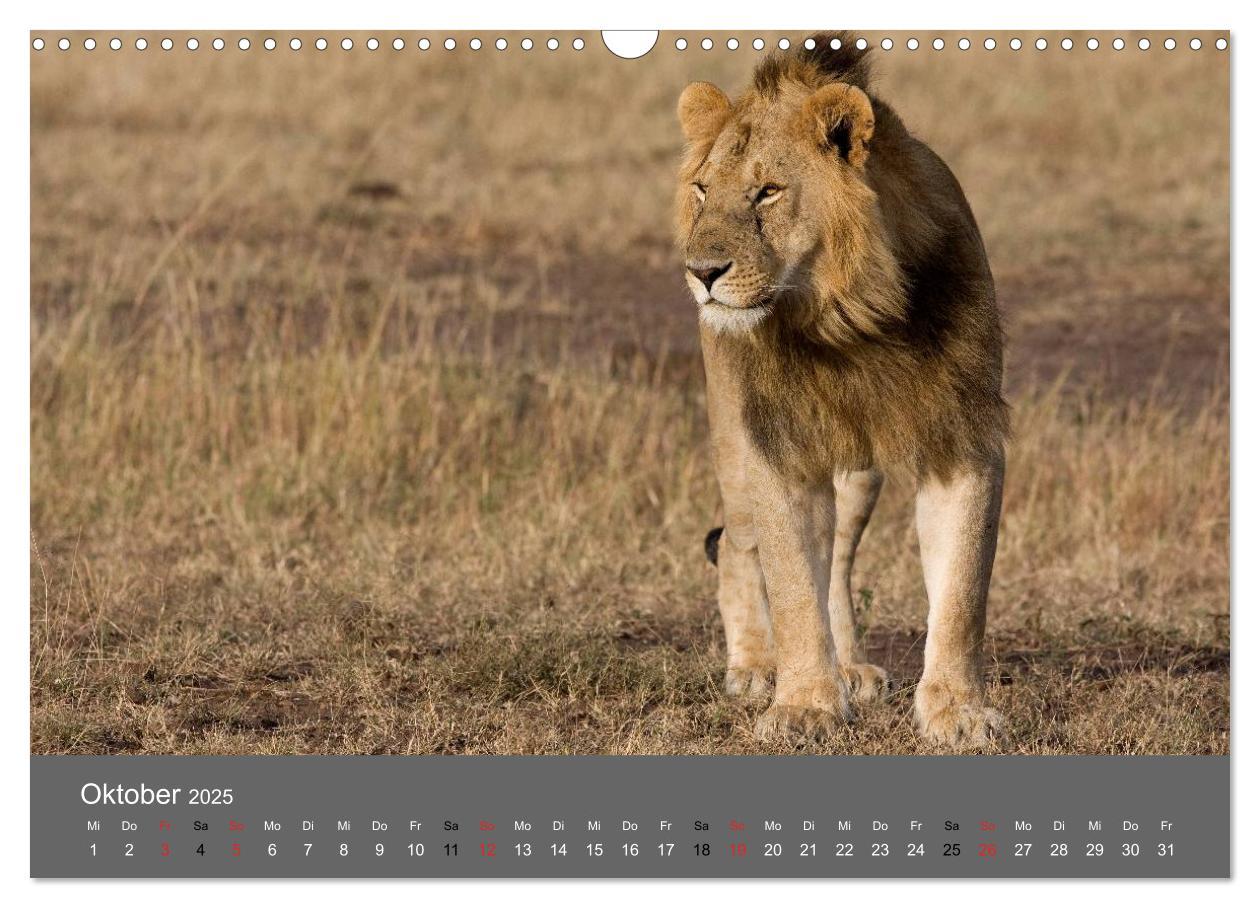 Bild: 9783435833900 | Ich träumte von Afrika (Wandkalender 2025 DIN A3 quer), CALVENDO...