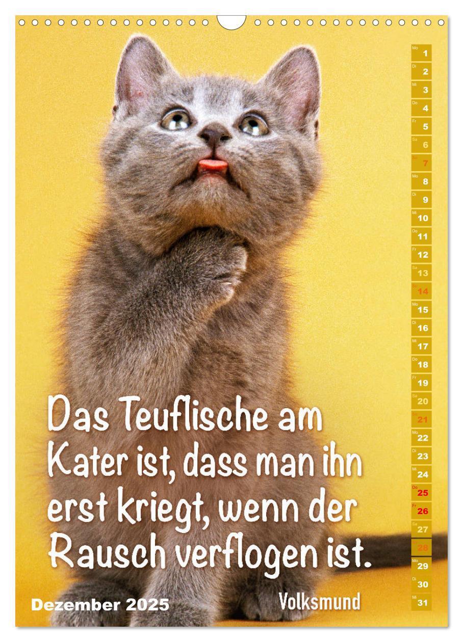 Bild: 9783435940172 | Der literarische Katerkalender (Wandkalender 2025 DIN A3 hoch),...