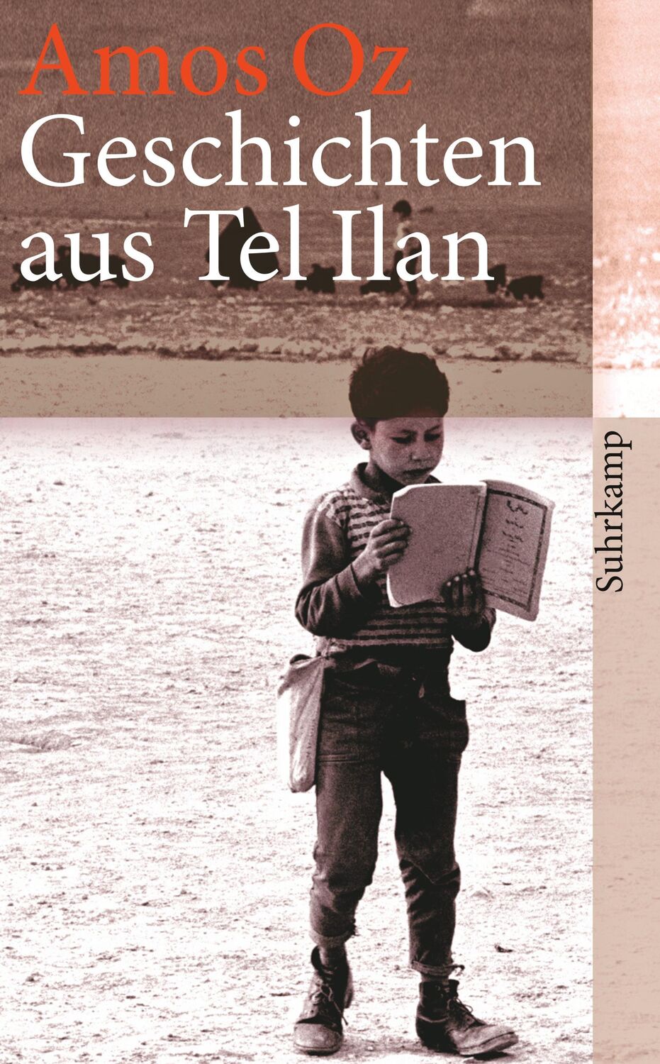 Cover: 9783518462096 | Geschichten aus Tel Ilan | Amos Oz | Taschenbuch | 190 S. | Deutsch