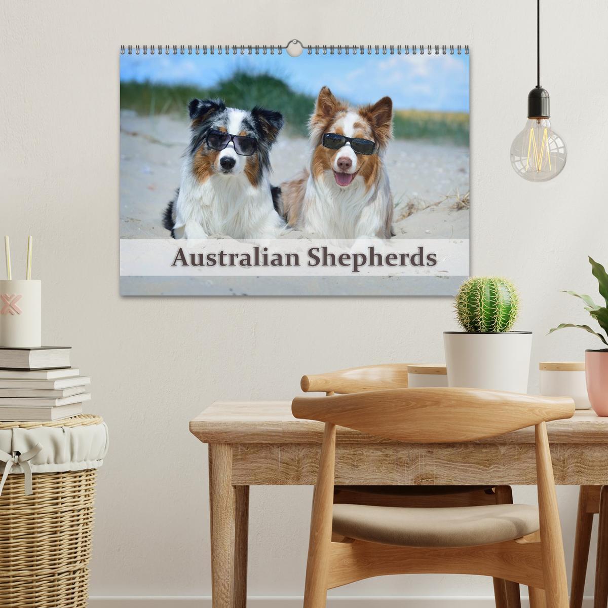 Bild: 9783435809196 | Wunderbare Australian Shepherds (Wandkalender 2025 DIN A3 quer),...