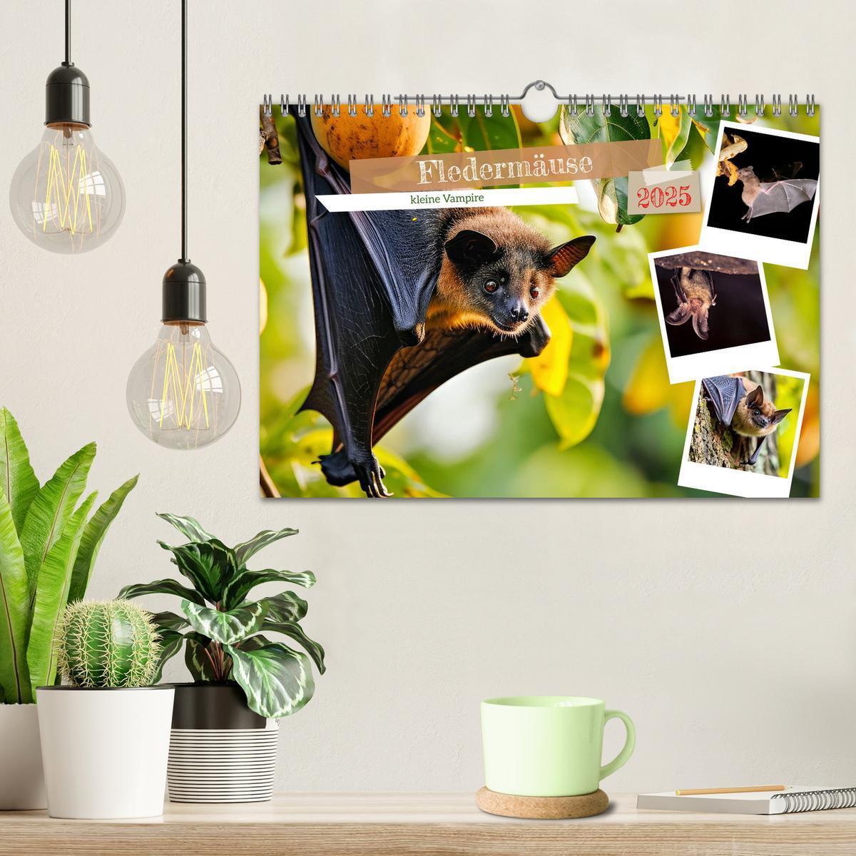 Bild: 9783457184219 | Fledermäuse - kleine Vampire (Wandkalender 2025 DIN A4 quer),...