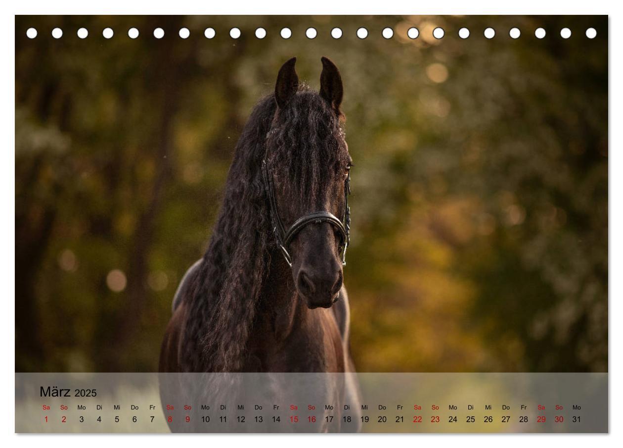 Bild: 9783435288441 | Pferdezauber 2025 (Tischkalender 2025 DIN A5 quer), CALVENDO...