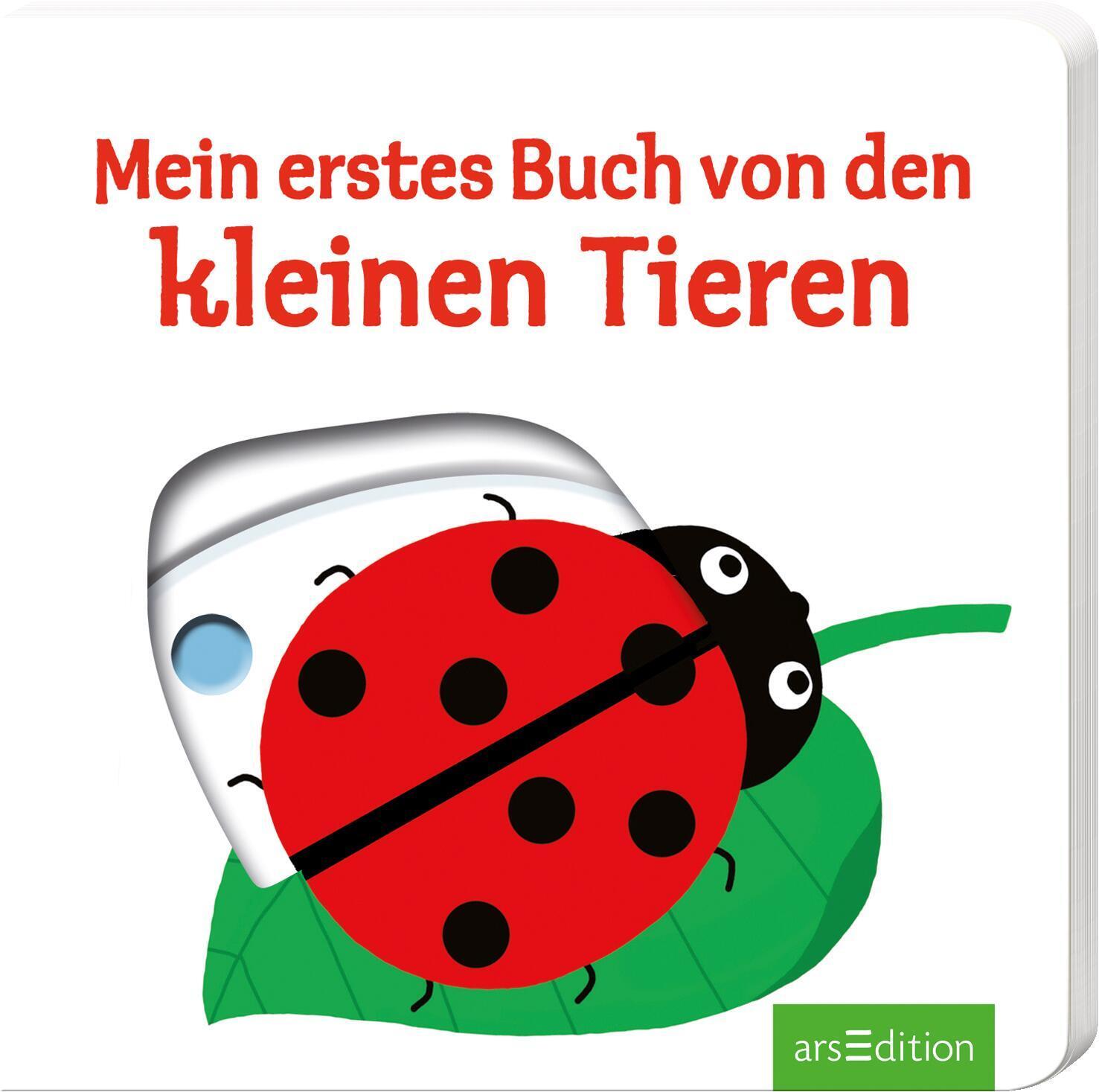 Bild: 9783760798547 | Mein erstes Buch von den kleinen Tieren | Buch | Mein erstes Buch