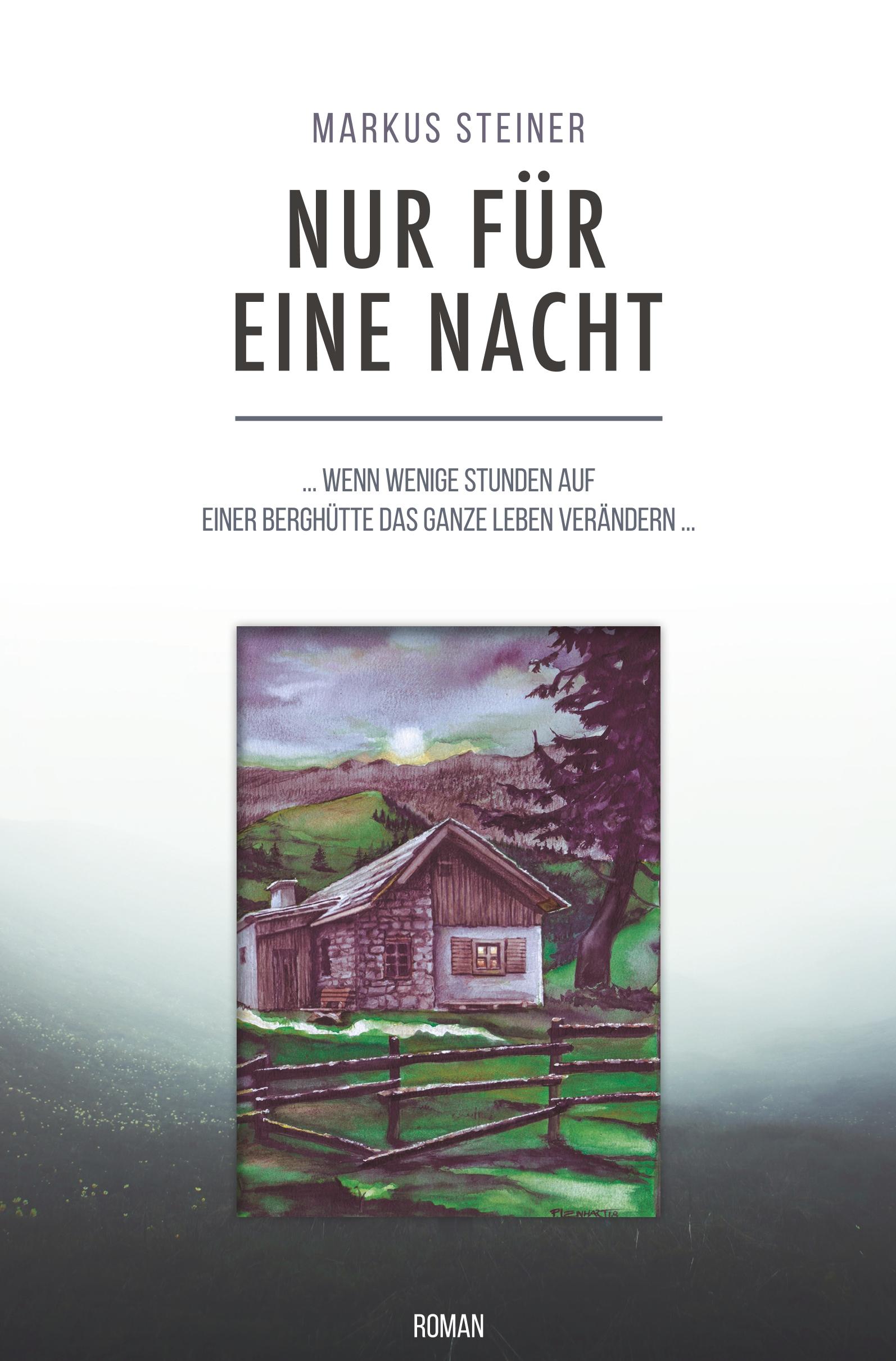 Cover: 9783961035038 | Nur für eine Nacht | Markus Steiner | Taschenbuch | 248 S. | Deutsch