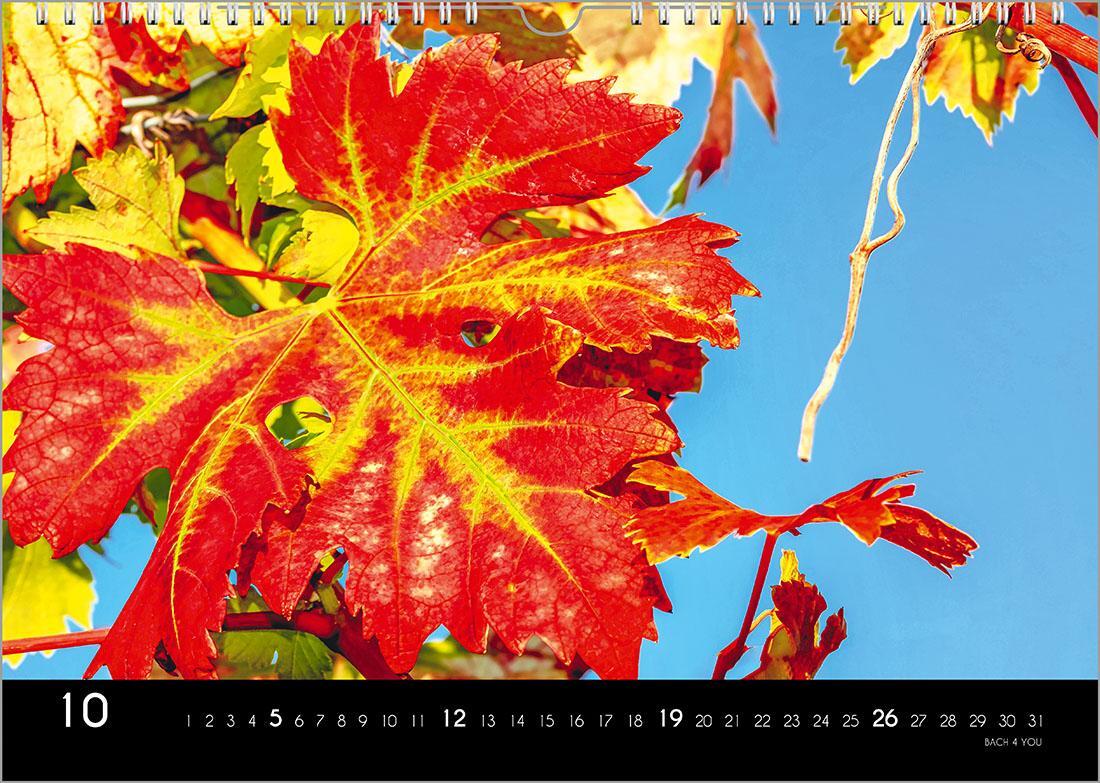 Bild: 9783969030981 | Der Weinkalender 2025, DIN A4 - ein Fotokalender | Peter Bach Jr.