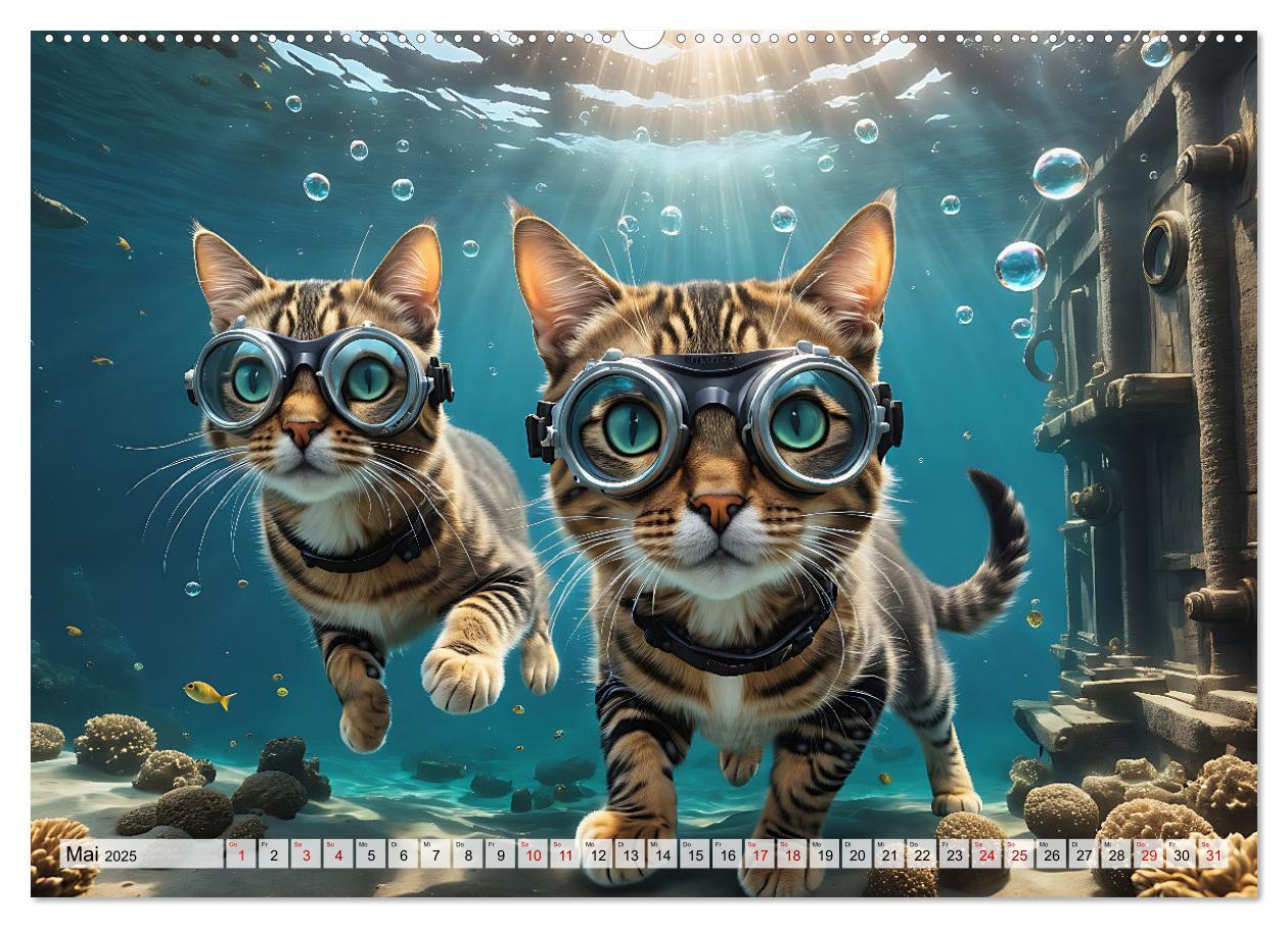 Bild: 9783383843433 | Katzen unter Wasser (Wandkalender 2025 DIN A2 quer), CALVENDO...