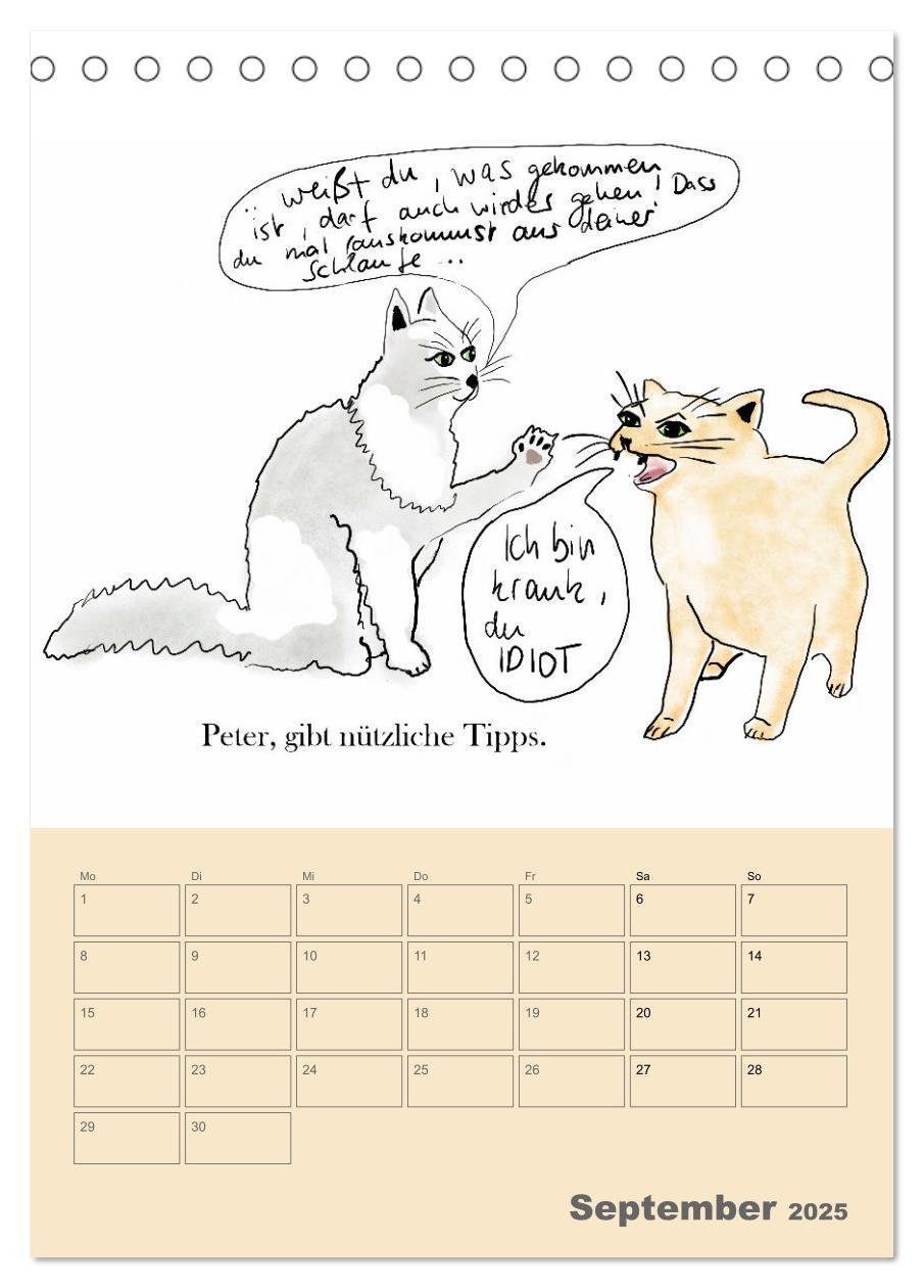 Bild: 9783457220818 | Therapie.Katzen (Tischkalender 2025 DIN A5 hoch), CALVENDO...