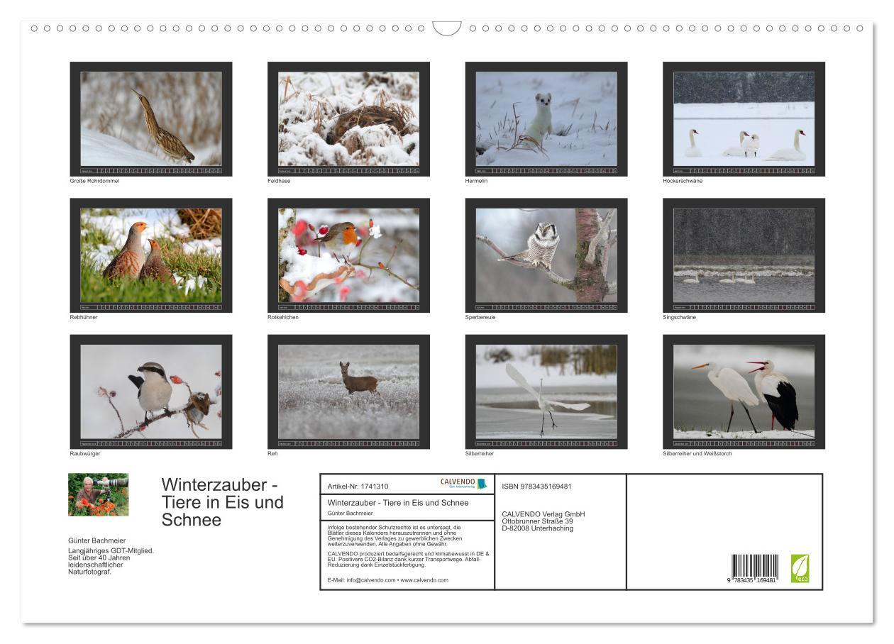 Bild: 9783435169481 | Winterzauber - Tiere in Eis und Schnee (Wandkalender 2025 DIN A2...