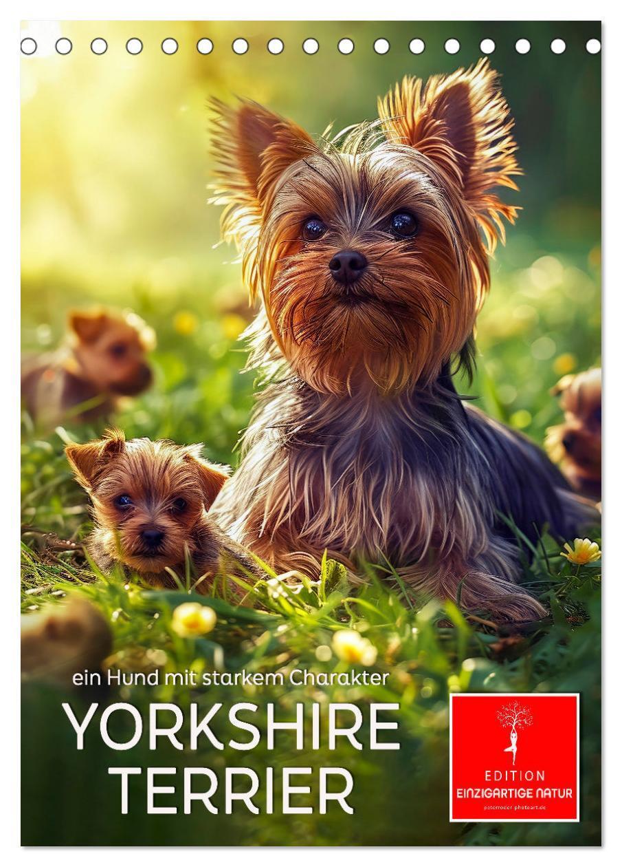 Cover: 9783383771743 | Yorkshire Terrier - ein Hund mit starkem Charakter (Tischkalender...