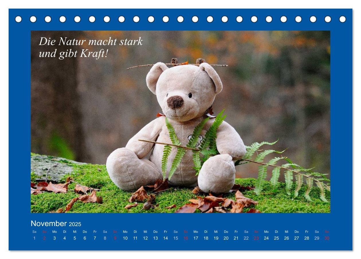 Bild: 9783435593972 | Sommer im Teddy-Land. Bär und Freunde (Tischkalender 2025 DIN A5...