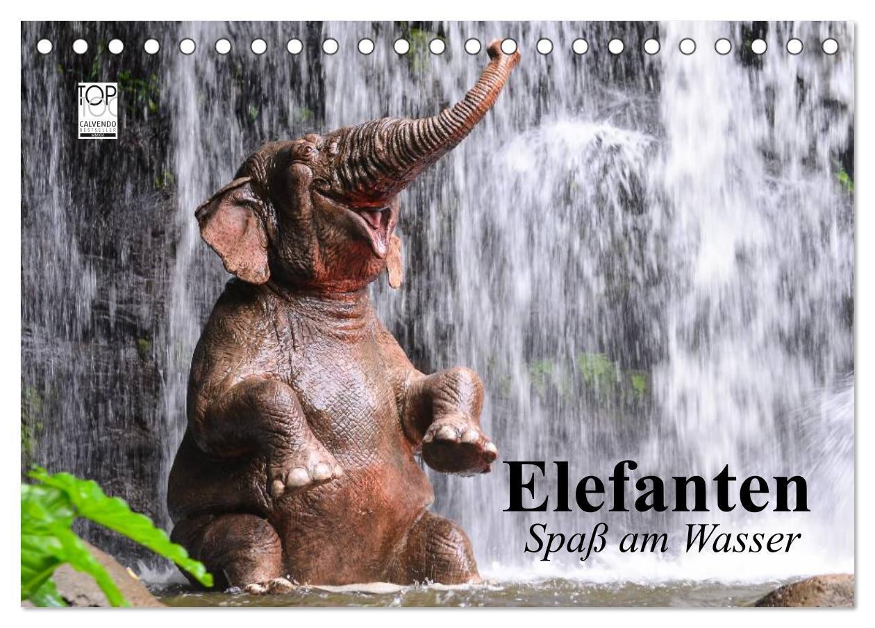 Cover: 9783435549115 | Elefanten. Spaß am Wasser (Tischkalender 2025 DIN A5 quer),...