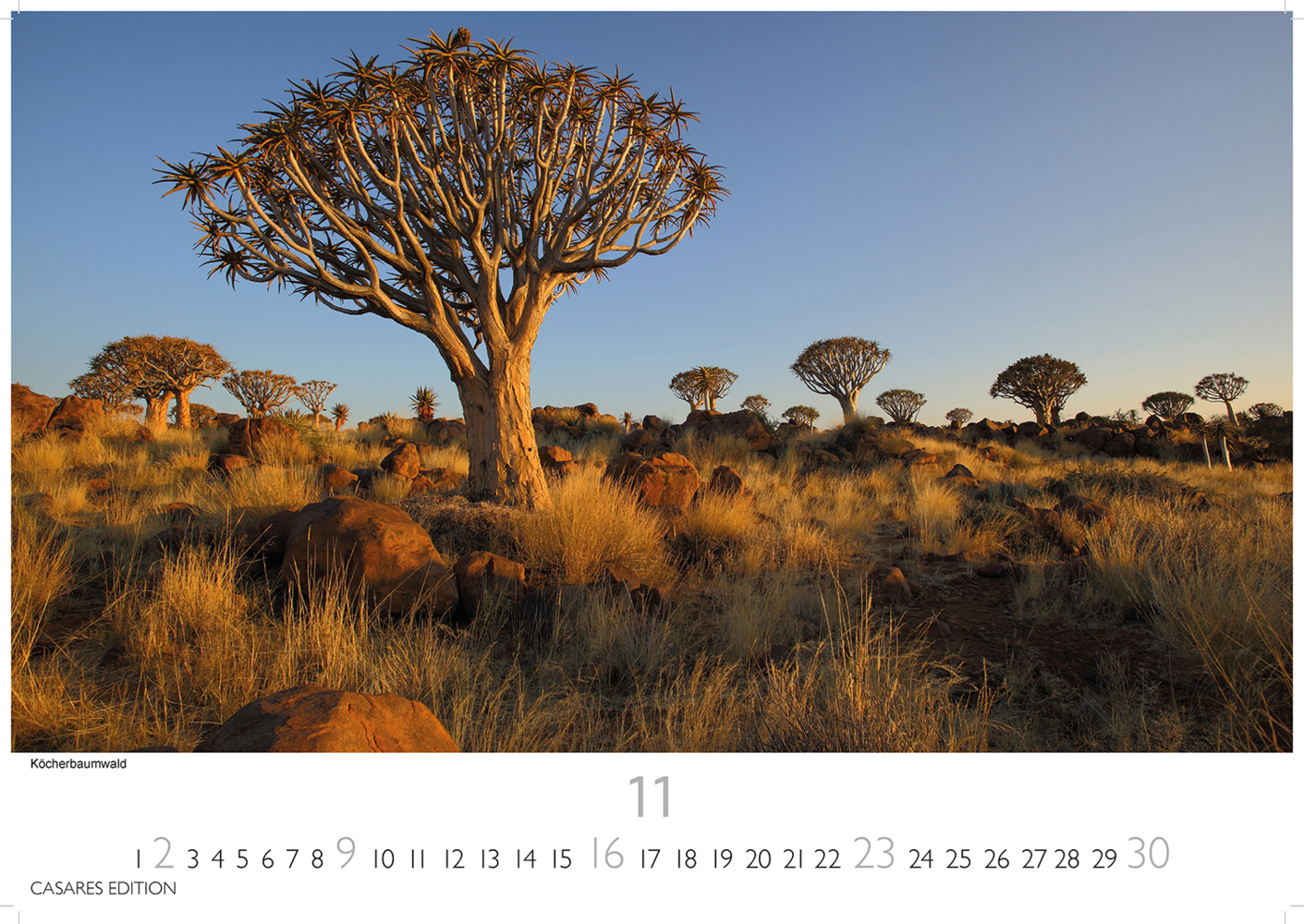 Bild: 9781835240632 | Namibia 2025 S 24x35 cm | Kalender | 14 S. | Deutsch | 2025