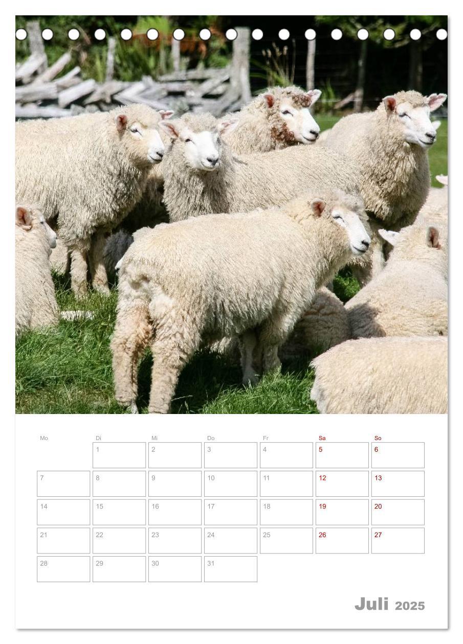 Bild: 9783435993345 | Kalenderplaner g'day Neuseeland 2025 (Tischkalender 2025 DIN A5...