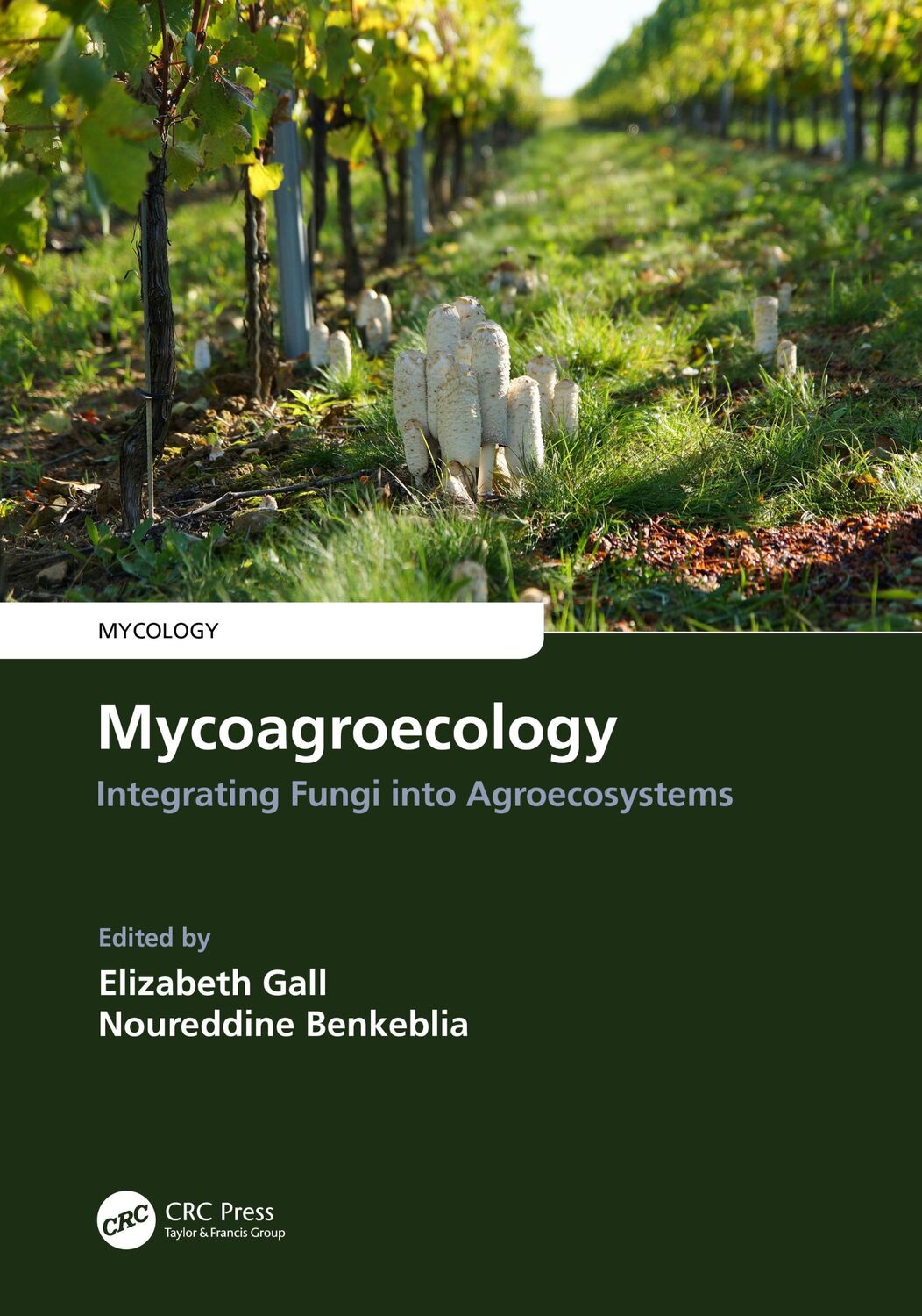 Cover: 9780367335243 | Mycoagroecology | Integrating Fungi into Agroecosystems | Gall (u. a.)