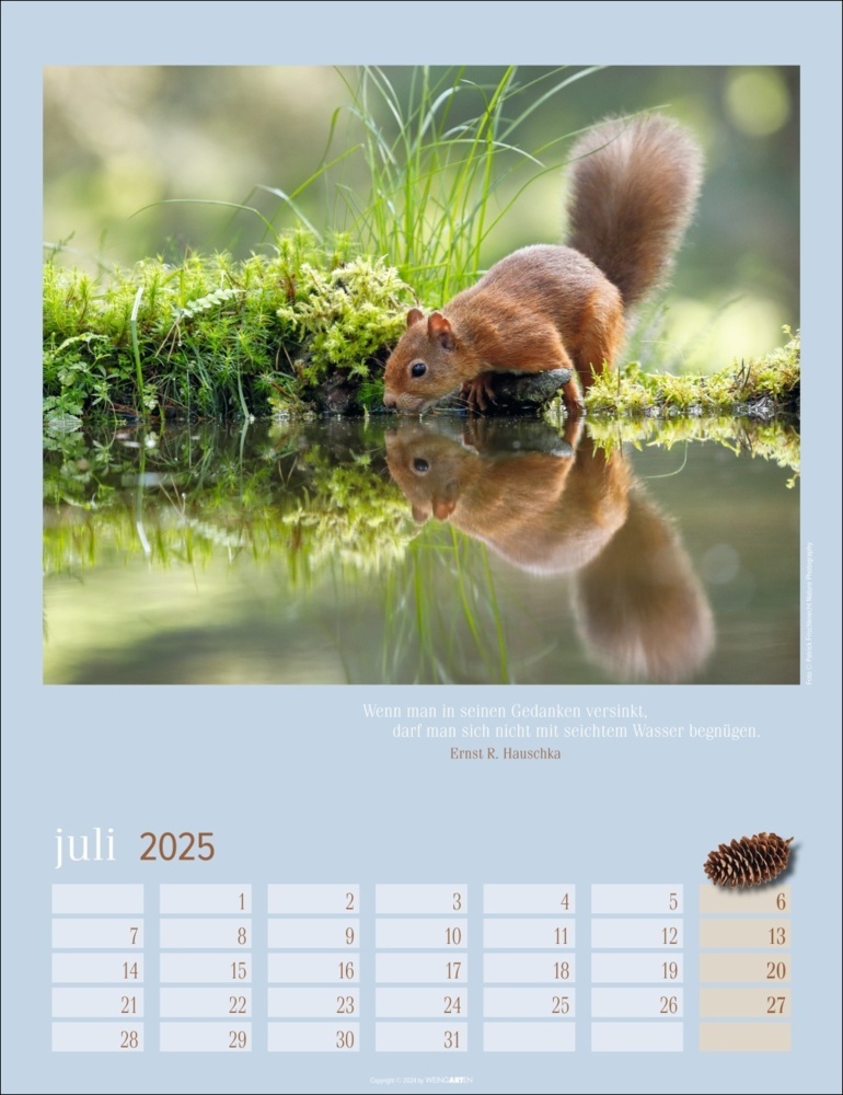 Bild: 9783839900758 | Eichhörnchen Kalender 2025 | Kalender | Spiralbindung | 14 S. | 2025