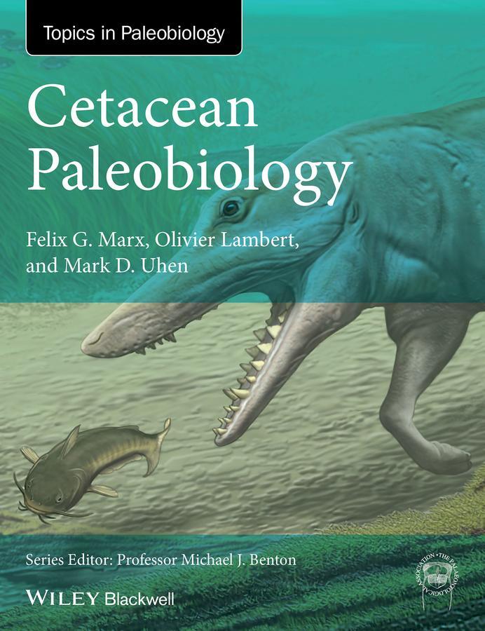 Cover: 9781118561539 | Cetacean Paleobiology | Felix G Marx (u. a.) | Taschenbuch | Englisch