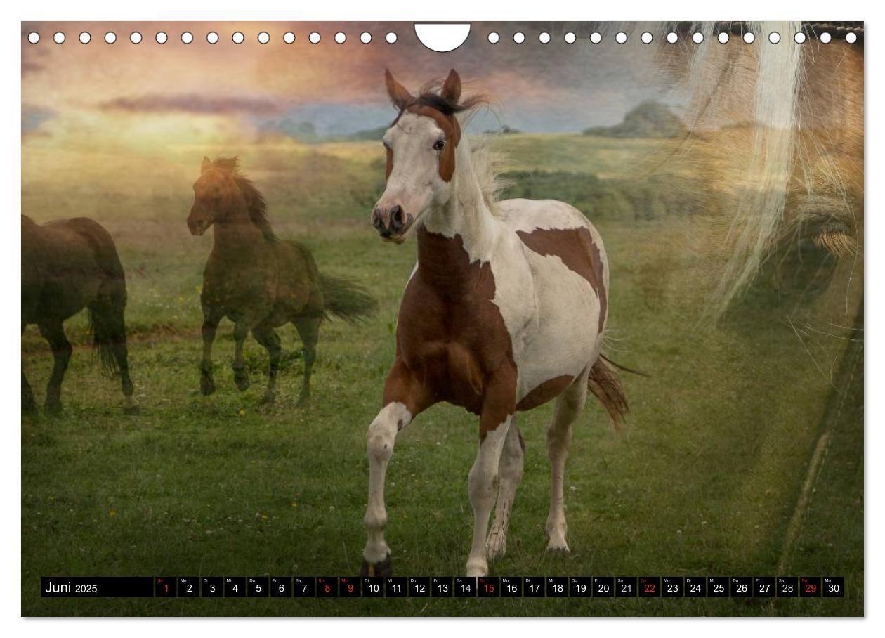 Bild: 9783435490424 | Western-Feeling (Wandkalender 2025 DIN A4 quer), CALVENDO...