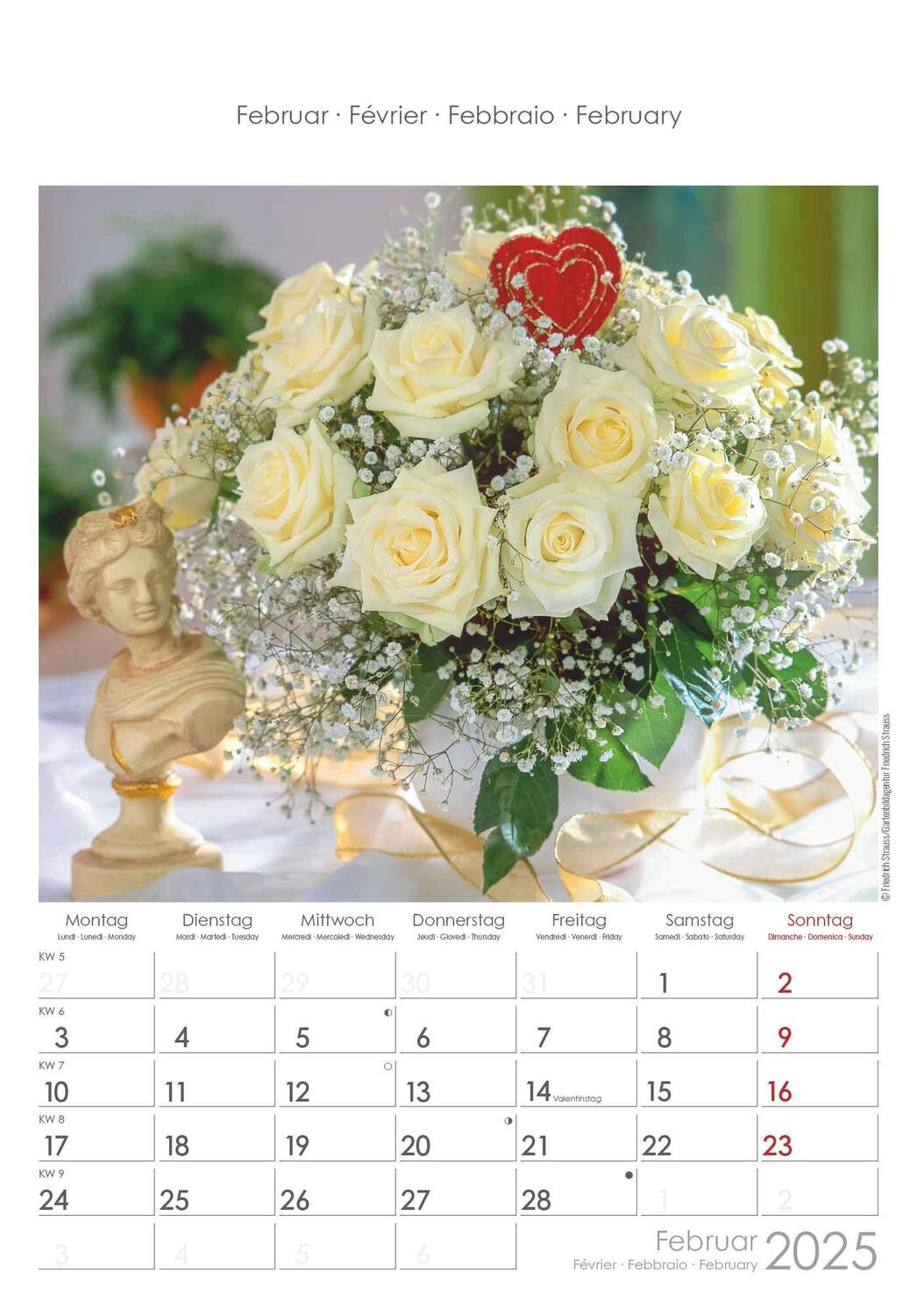 Bild: 4251732340995 | Rosenträume 2025 - Bildkalender 23,7x34 cm - Kalender mit Platz für...