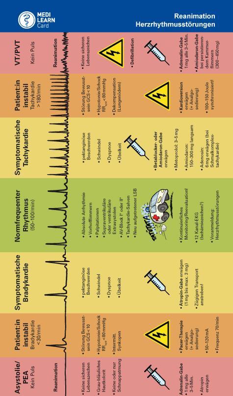 Rückseite: 9783956581182 | MEDI-LEARN Card: Herzrhythmusstörungen und Reanimation | Stück | 1 S.