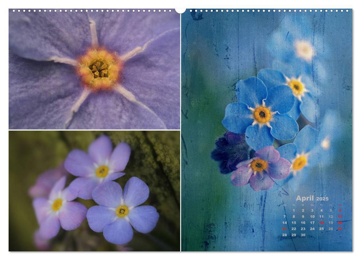 Bild: 9783435611713 | Blumenreise 2025 (Wandkalender 2025 DIN A2 quer), CALVENDO...