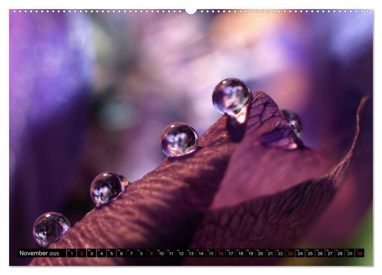 Bild: 9783435550012 | Wassertropfen - Diamanten des Lebens (Wandkalender 2025 DIN A2...