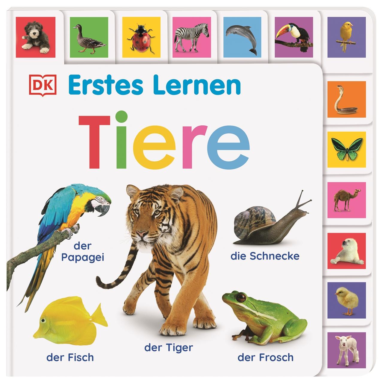 Cover: 9783831044160 | Erstes Lernen. Tiere | DK Verlag - Kids | Buch | Erstes Lernen | 28 S.