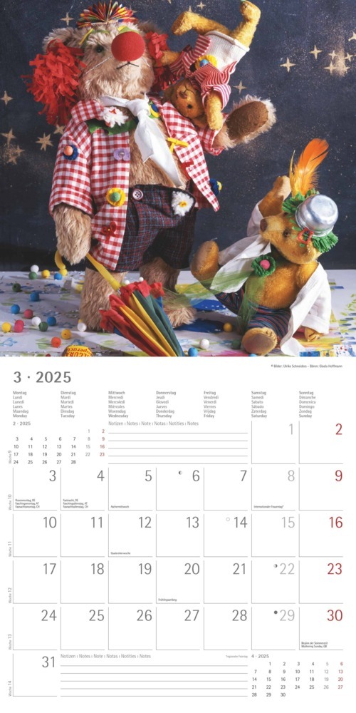 Bild: 4251732340643 | Alpha Edition - Teddy 2025 Broschürenkalender, 30x30cm,...