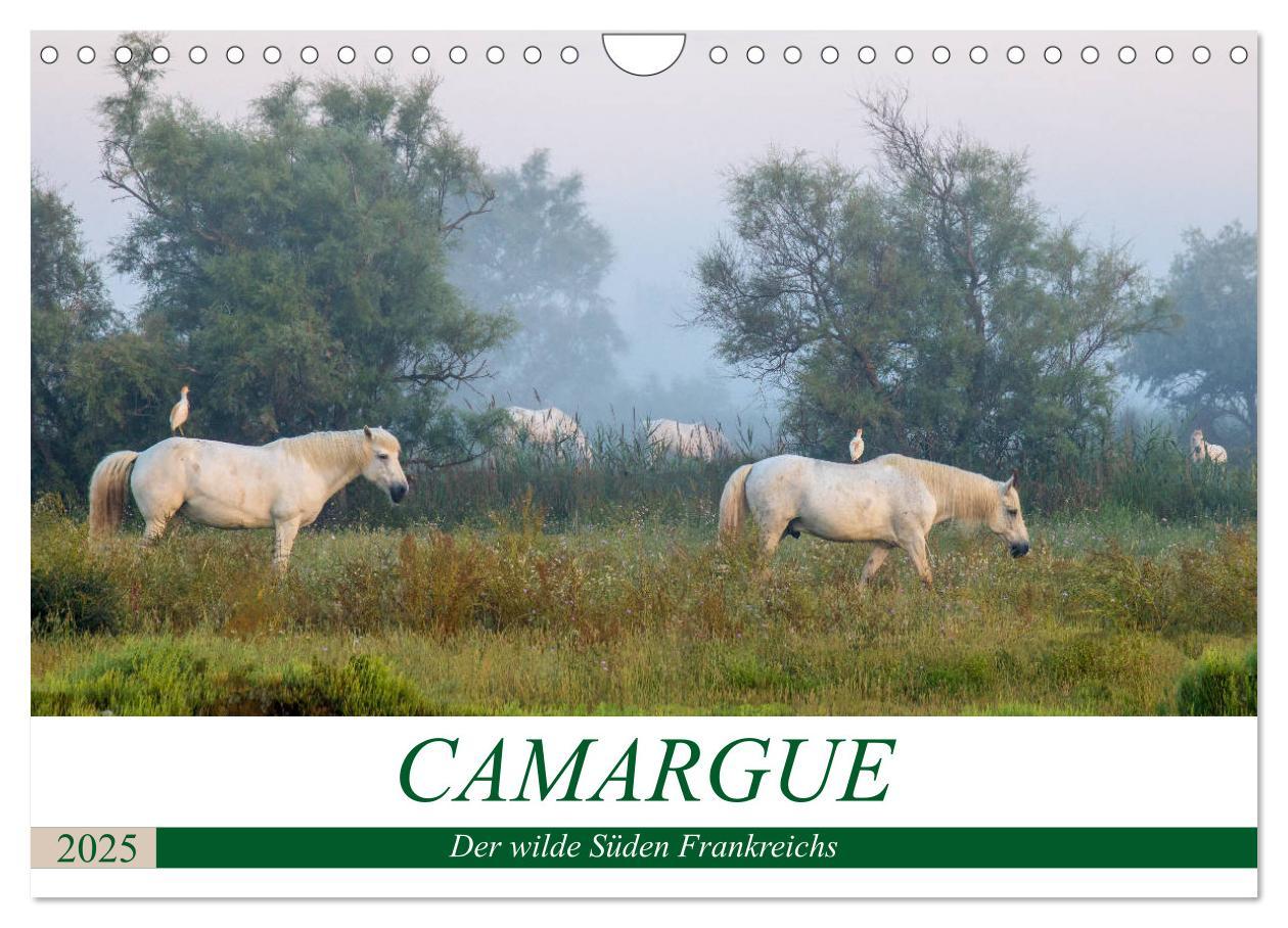 Cover: 9783435407613 | Camargue - Der wilde Süden Frankreichs (Wandkalender 2025 DIN A4...