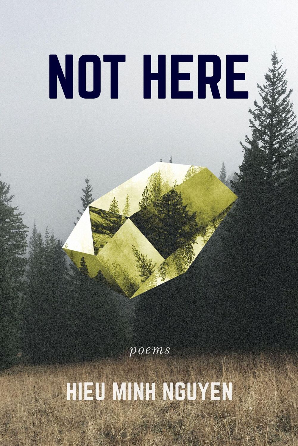 Cover: 9781566895095 | Not Here | Hieu Minh Nguyen | Taschenbuch | Kartoniert / Broschiert