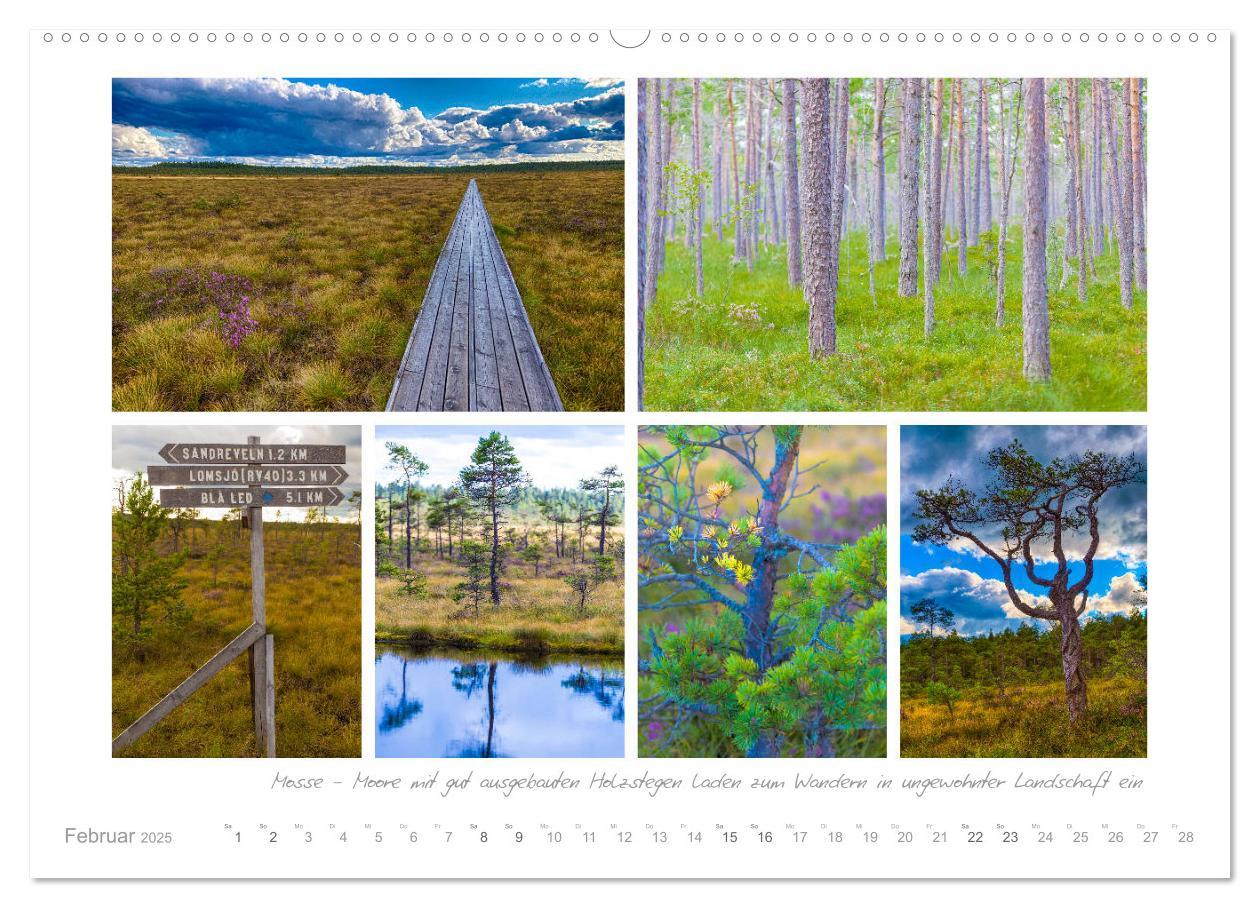 Bild: 9783435335534 | Sehnsucht Schweden - Elche, Natur und Urlaubsträume (Wandkalender...