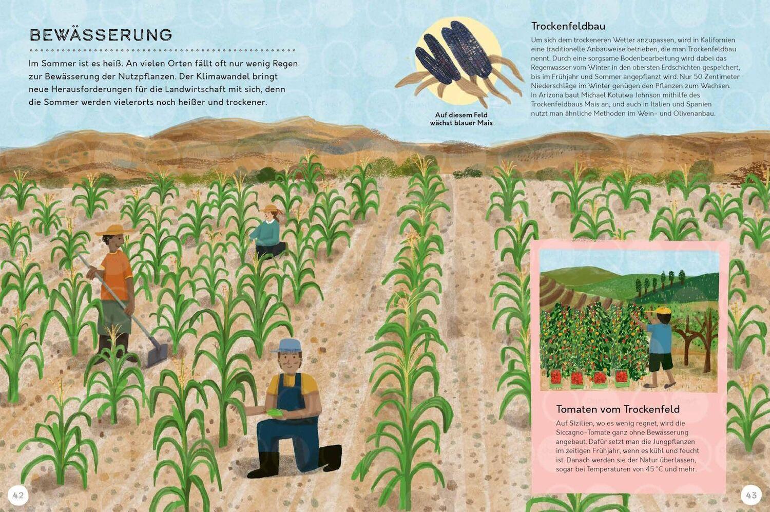 Bild: 9783957288028 | Vom Feld auf den Teller | Nachhaltige Landwirtschaft rund um die Welt