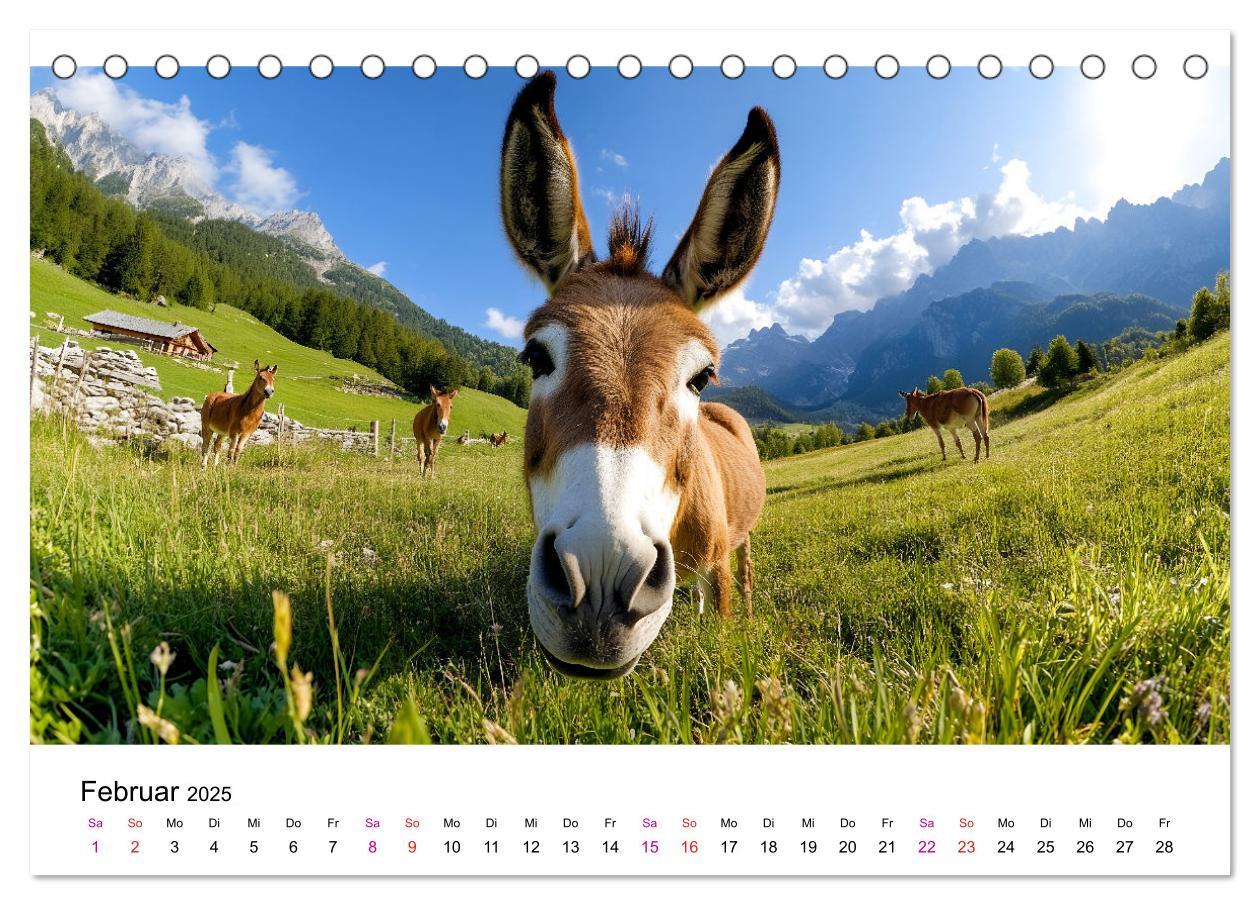 Bild: 9783457215357 | Esel - neugierige Typen (Tischkalender 2025 DIN A5 quer), CALVENDO...