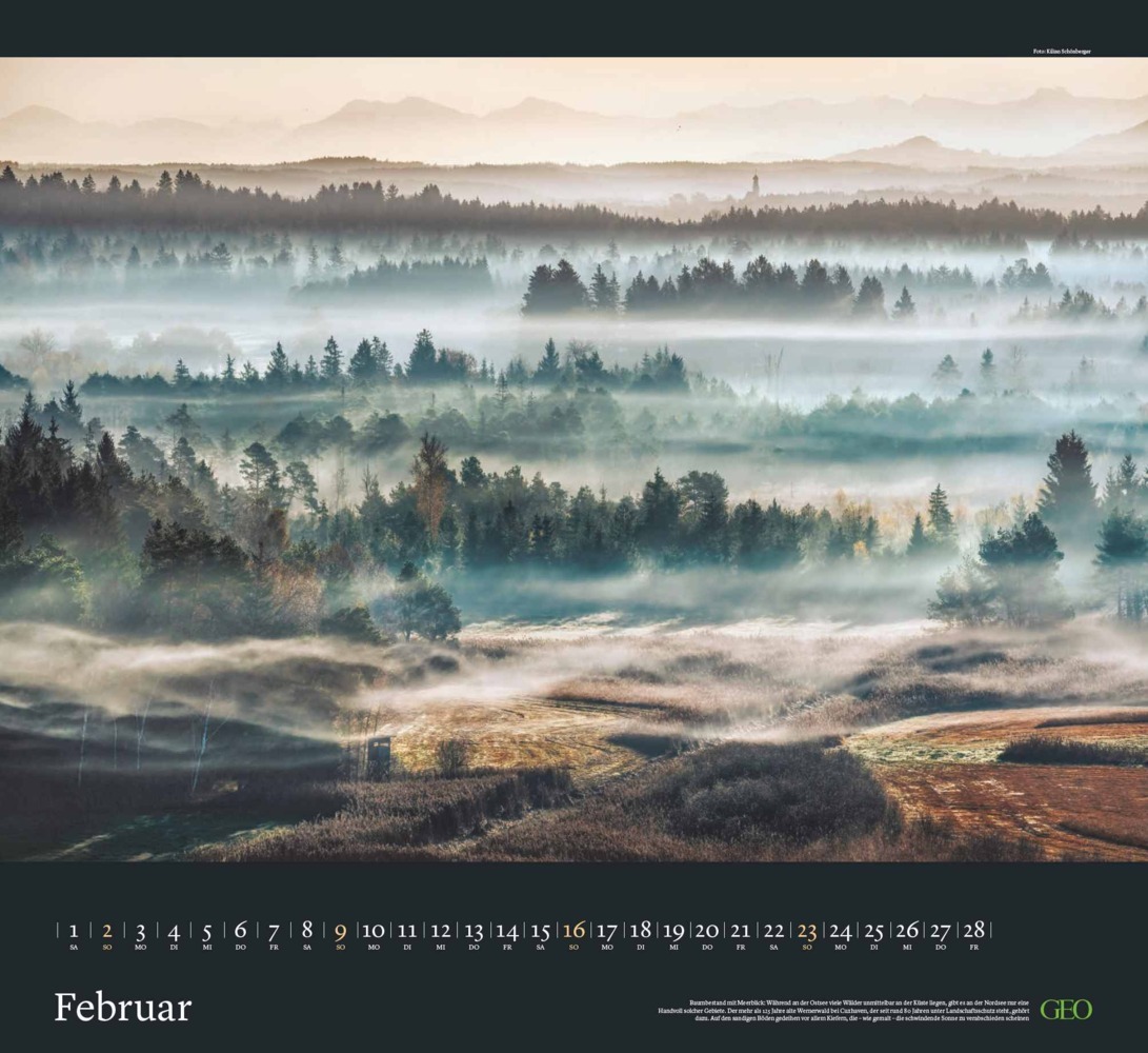 Bild: 4002725988683 | GEO - Sehnsucht Wald Wandkalender 2025 - Eindrucksvoller...