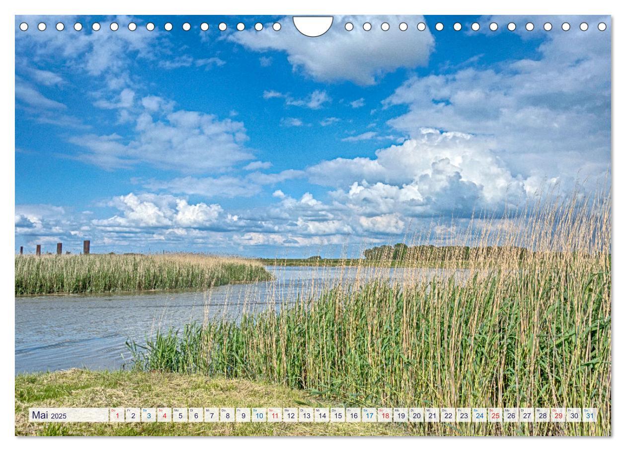 Bild: 9783435076406 | Cuxhavener Land (Wandkalender 2025 DIN A4 quer), CALVENDO...