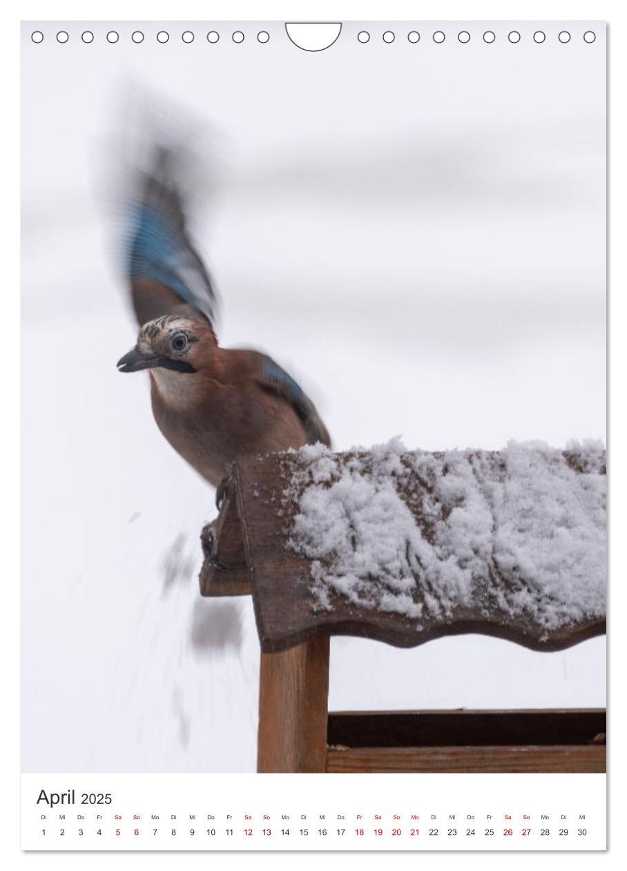 Bild: 9783435886623 | Winter in Lappland - Bezaubernde Schönheit (Wandkalender 2025 DIN...