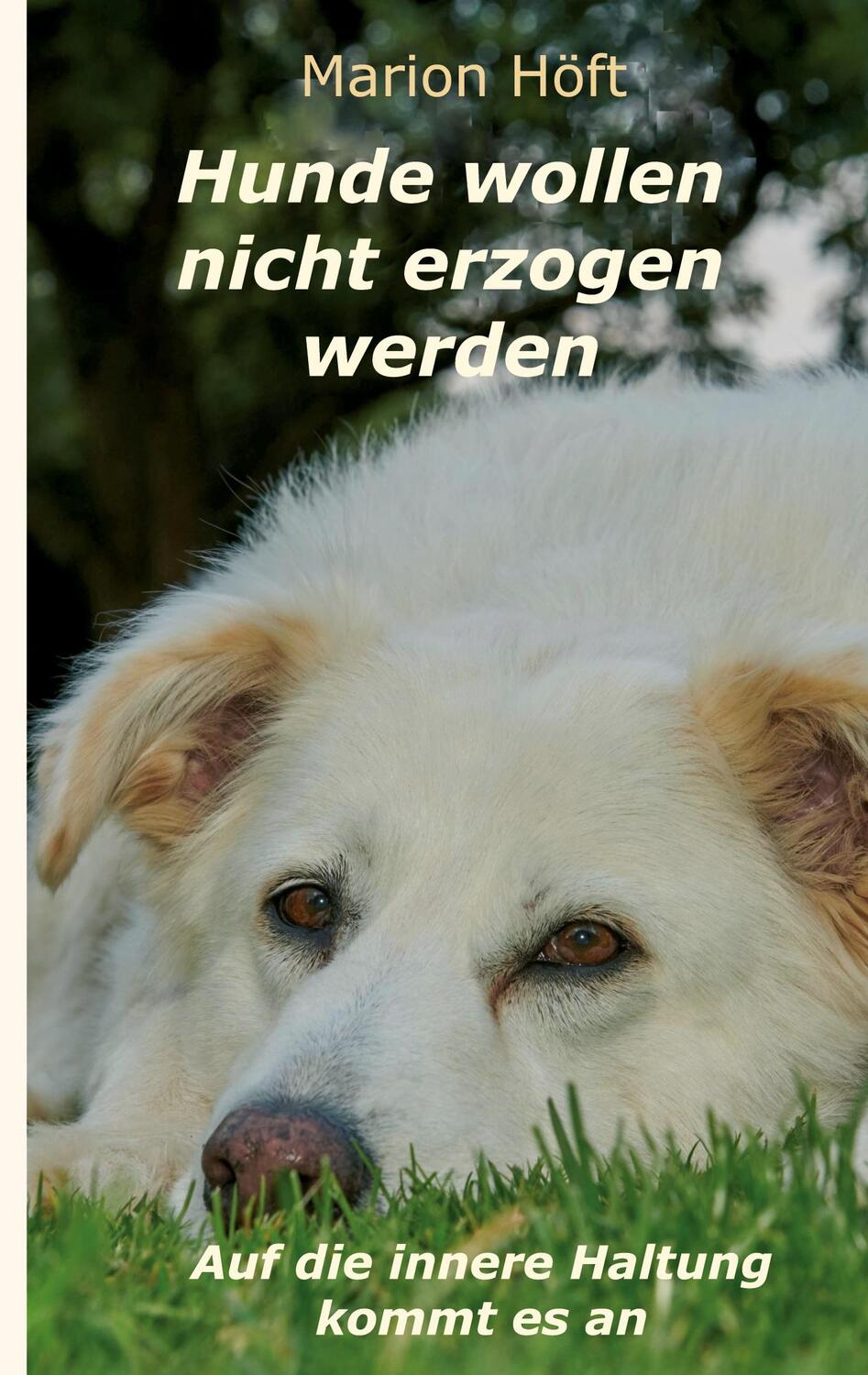 Cover: 9783347270824 | Hunde wollen nicht erzogen werden | Auf die innere Haltung kommt es an