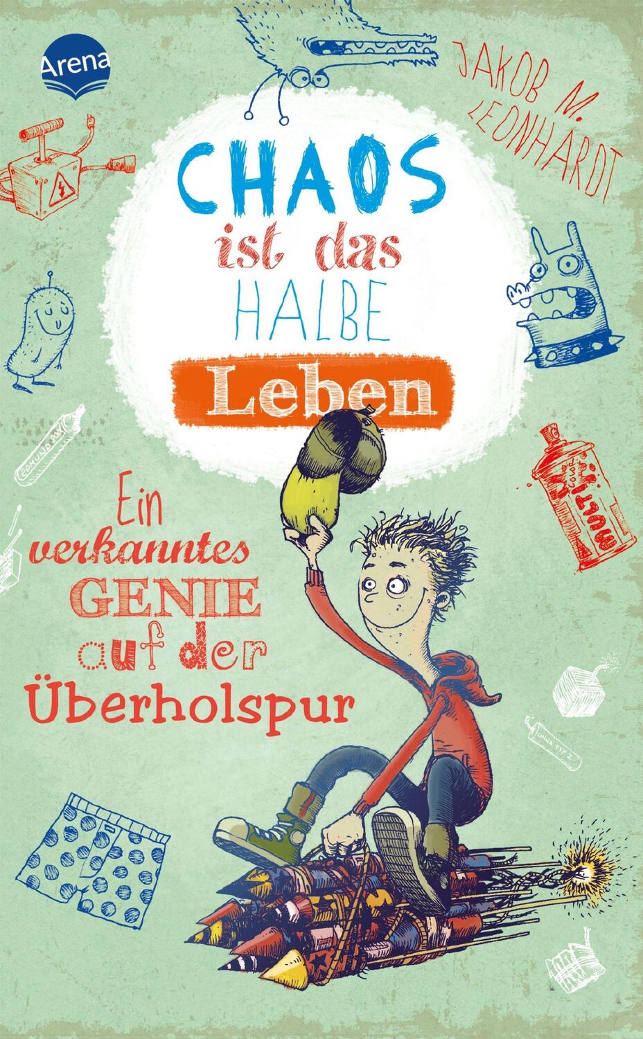 Cover: 9783401505527 | Chaos ist das halbe Leben | Ein verkanntes Genie auf der Überholspur