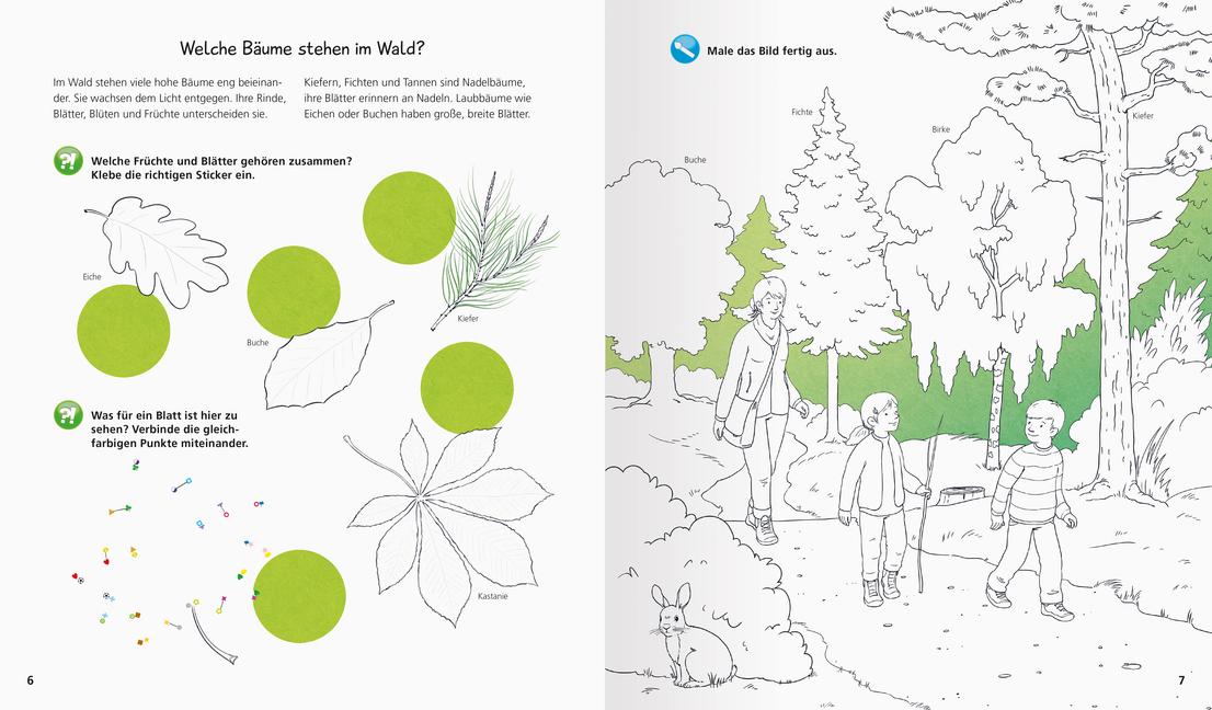 Bild: 9783473329731 | Wieso? Weshalb? Warum? aktiv-Heft: Wald | Stefan Richter | Taschenbuch