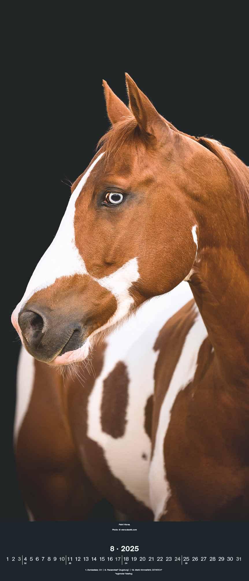 Bild: 4002725994202 | Beautiful Horses 2025 - Foto-Kalender - Wand-Kalender - 30x70 | 28 S.